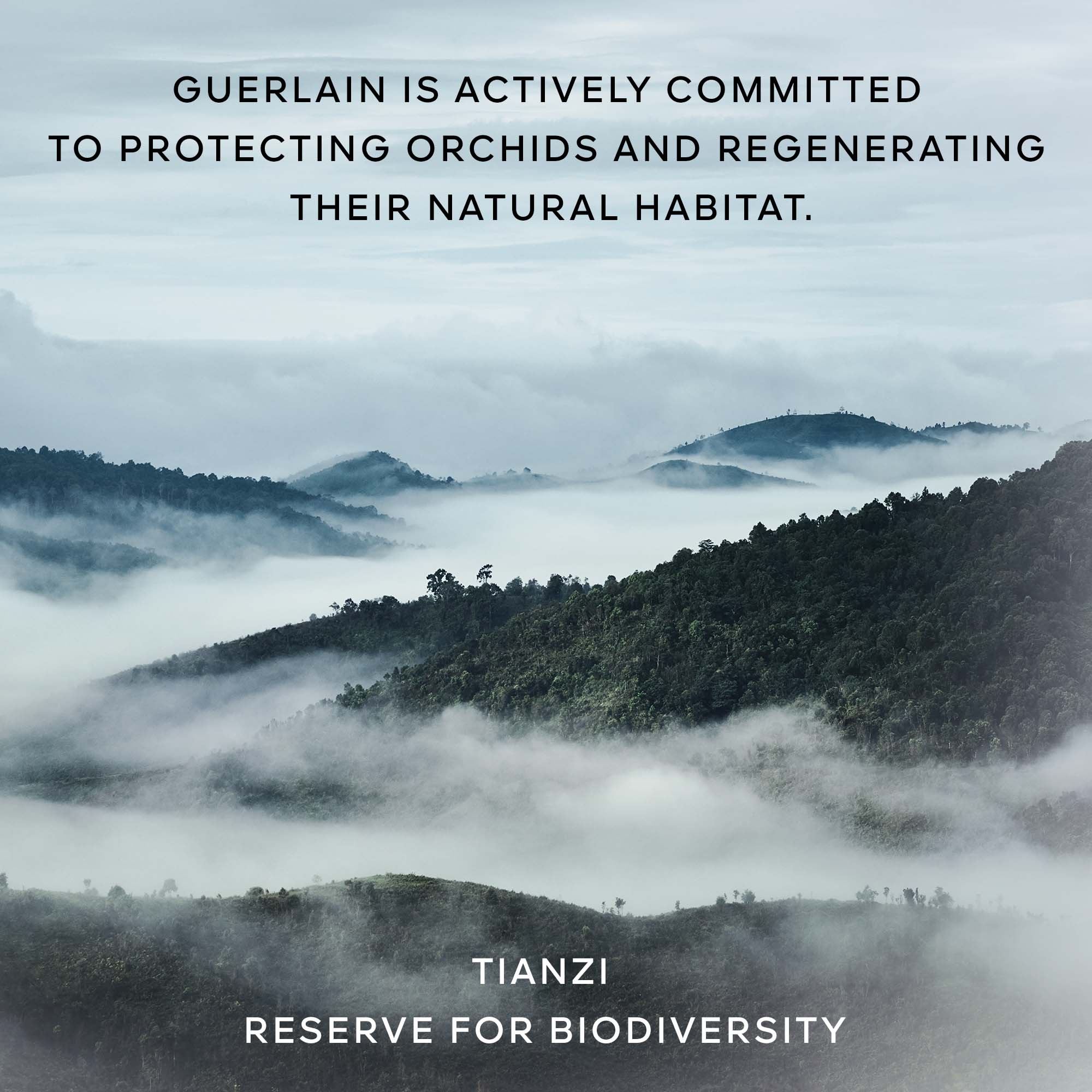 Guerlain Orchidée Impériale Essence-Lotion Concentrate