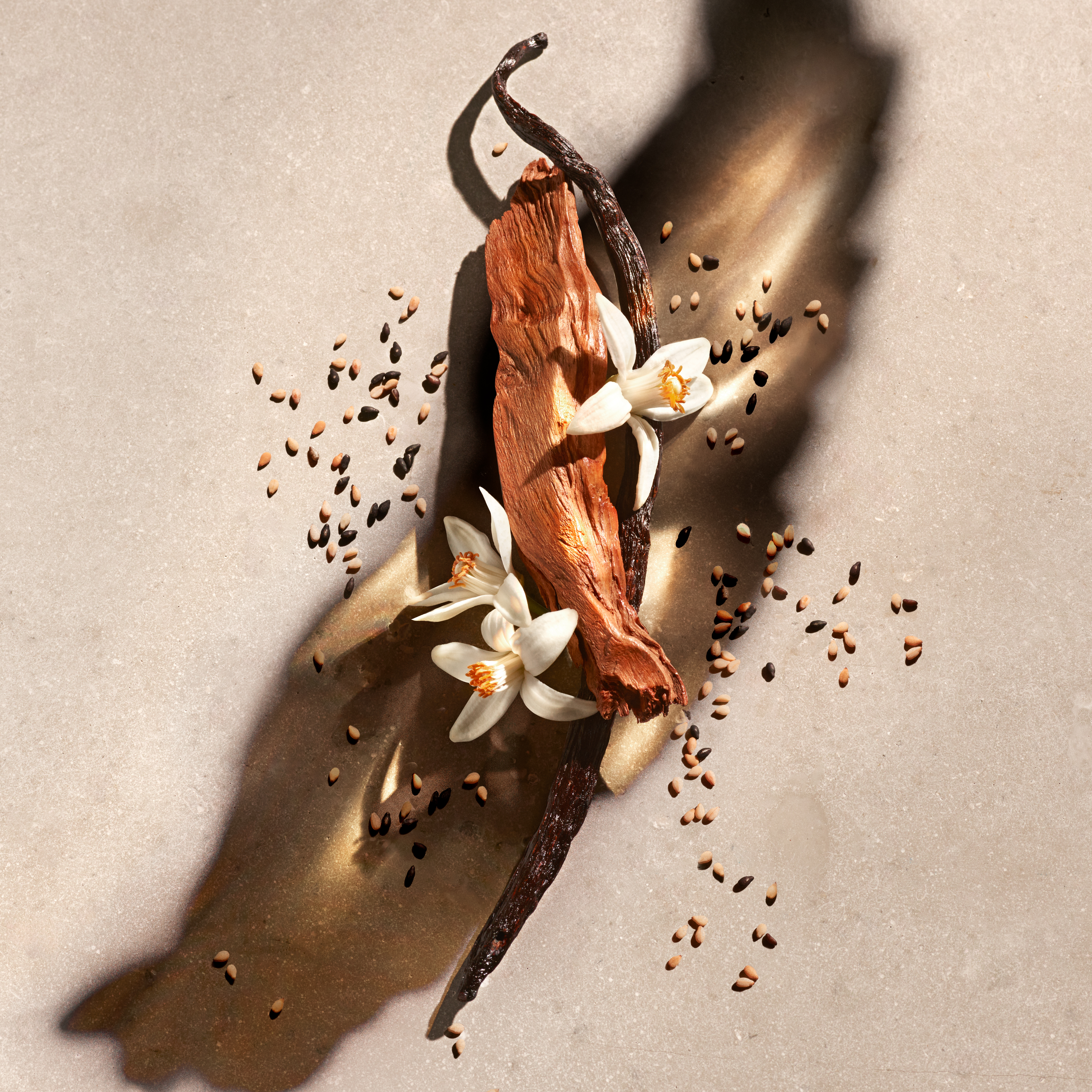 Zadig & Voltaire Zadig Eau de Parfum (EdP) 50ml SET