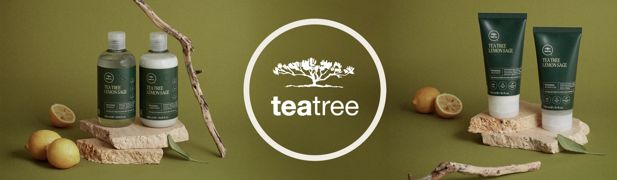 Lorem ipsum dolor sit amet