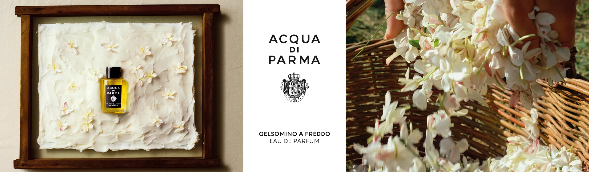 Lorem ipsum dolor sit amet